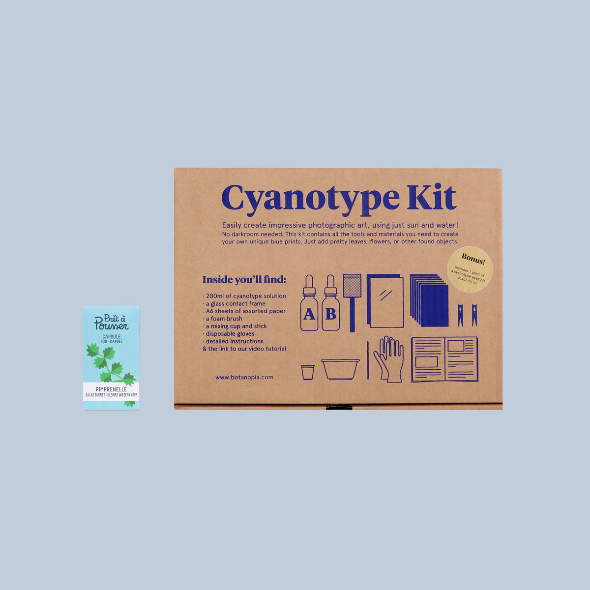 Il set Cyanotype